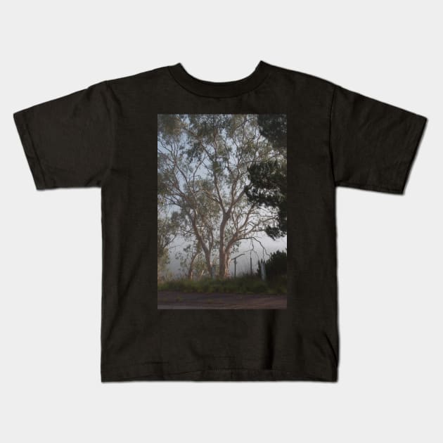 Gum tree in the mist Kids T-Shirt by DeborahMcGrath